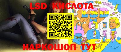 прущие крисы Камышлов