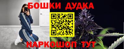 прущие крисы Камышлов