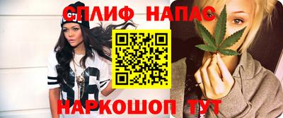 прущие крисы Камышлов