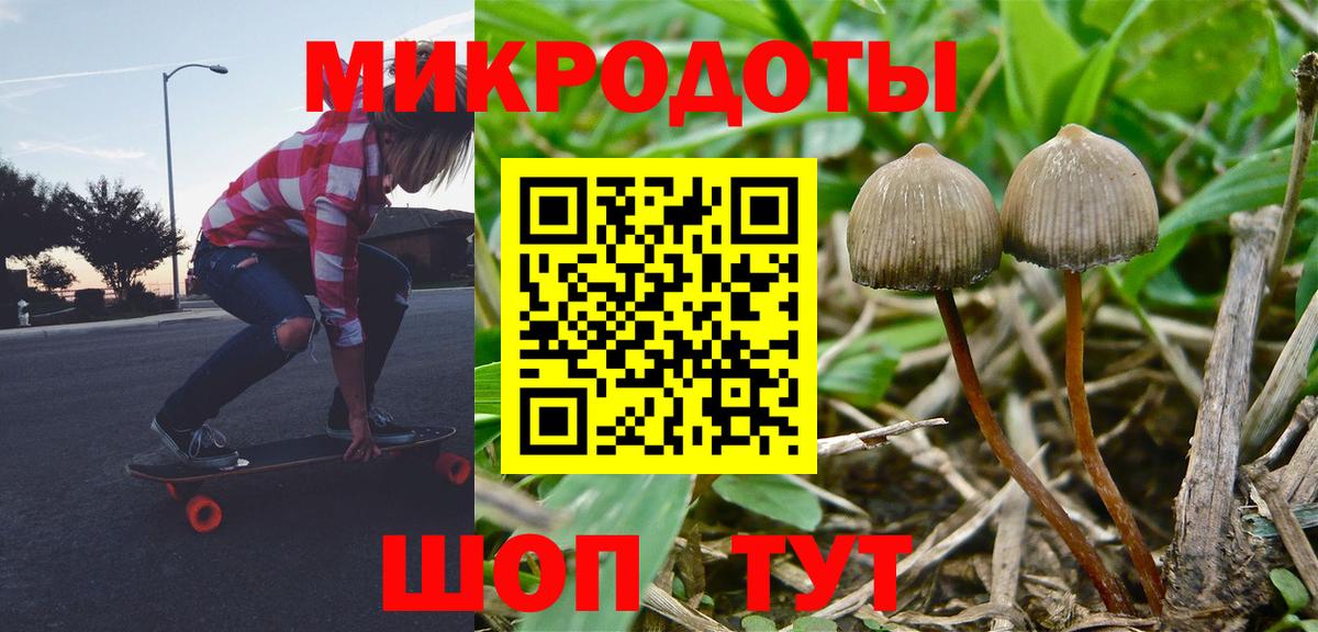 как найти   Вход с VPN  Псилоцибиновые грибы MAGIC MUSHROOMS  Бутурлиновка  Галлюциногенные грибы мицелий 