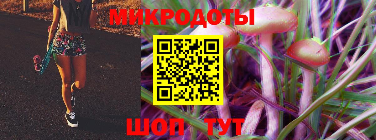 Псилоцибиновые грибы мицелий Бутурлиновка